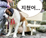 뉴스 사진